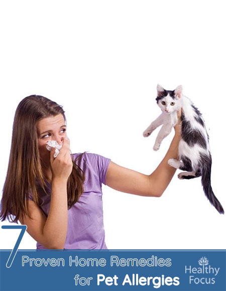 7 Proven Home Remedies for Pet Allergies 1 7 Proven Home Remedies for Pet Allergies