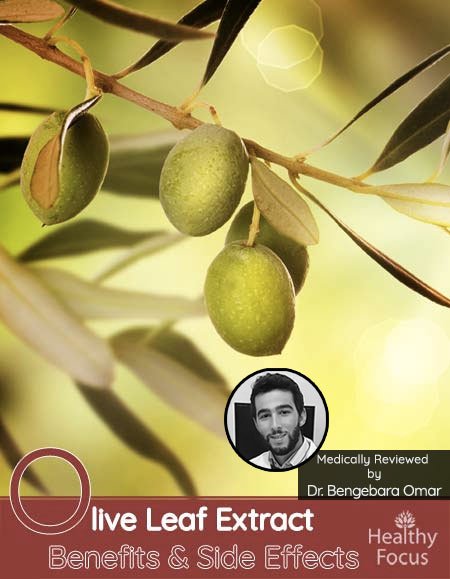 Olive Leaf Extract Benefits and Side Effects 1 hddr Olive Leaf Extract Benefits and Side Effects