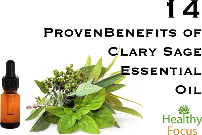 14 Proven Benefits of Clary Sage Essential Oil 1 hdr-14-Proven-Benefits-of-Clary-Sage-Essential-Oil