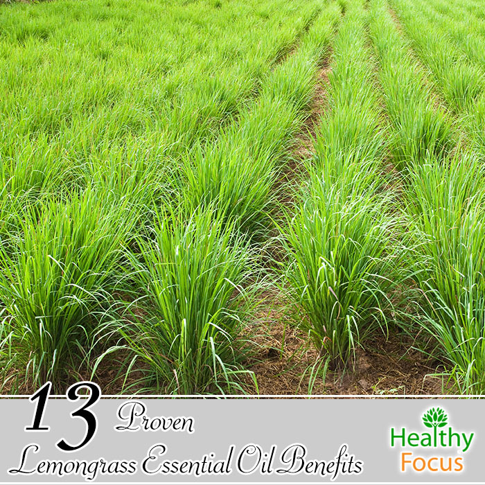 13 Proven Lemongrass Essential Oil Benefits 1 hdr-13-Proven-Lemongrass-Essential-Oil-Benefits
