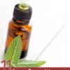 11 Proven Spearmint Essential Oil Benefits