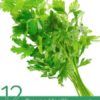 Cilantro health benefits