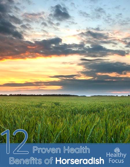 12 Proven Health Benefits of Horseradish 1 12 Proven Health Benefits of Horseradish