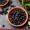 6 Proven Health Benefits of Maqui Berries