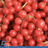 5 Proven Health Benefits of Schisandra
