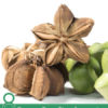8 Proven Benefits of Sacha Inchi