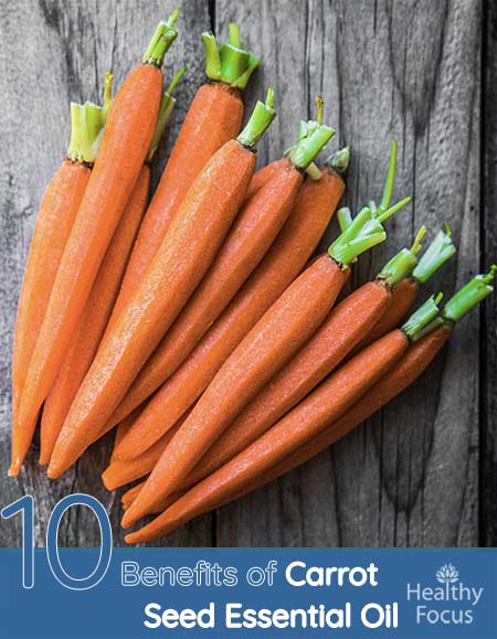 10 Benefits of Carrot Seed Essential Oil 1 hdrs 10 Benefits of Carrot Seed Essential Oil