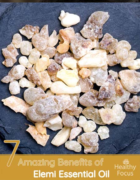 7 Amazing Benefits of Elemi Essential Oil 1 hdrs 7 Amazing Benefits of Elemi Essential Oil