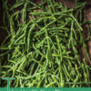 The Health Benefits of Samphire