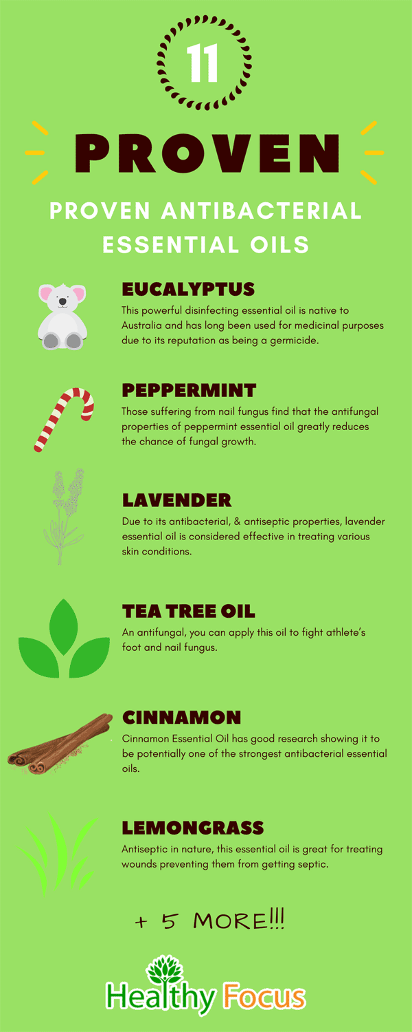 11 Proven Powerful Antibacterial Essential Oils 2 Infographic Antibacterial Essential Oils