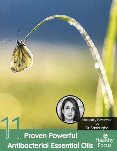 11 Proven Powerful Antibacterial Essential Oils 1 11 Proven Powerful Antibacterial Essential Oils