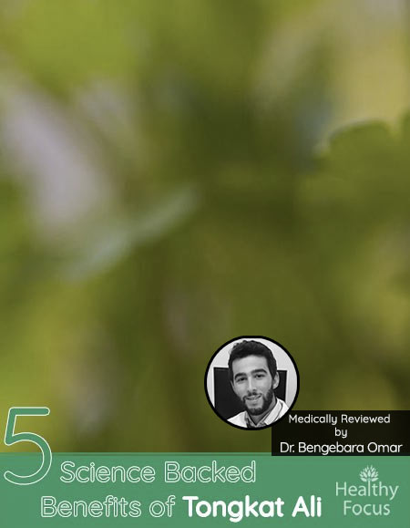 5 Science Backed Benefits of Tongkat Ali 1 5 Science Backed Benefits of Tongkat Ali