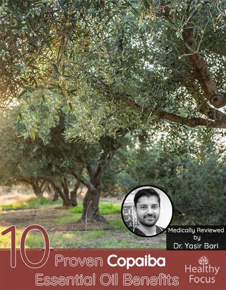 10 Proven Copaiba Essential Oil Benefits 1 10 Proven Copaiba Essential Oil Benefits