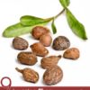 Amazing Shea Nut Oil Benefits