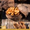 10 Amazing Benefits of Walnut Oil