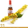 11 Amazing Health Benefits of Agrimony