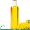 Canola Oil Benefits and Dangers