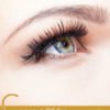 Coconut Oil for Beautiful Eyelashes