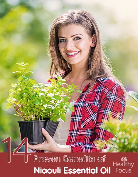 14 Proven Benefits of Niaouli Essential Oil 1 14 Proven Benefits of Niaouli Essential Oil