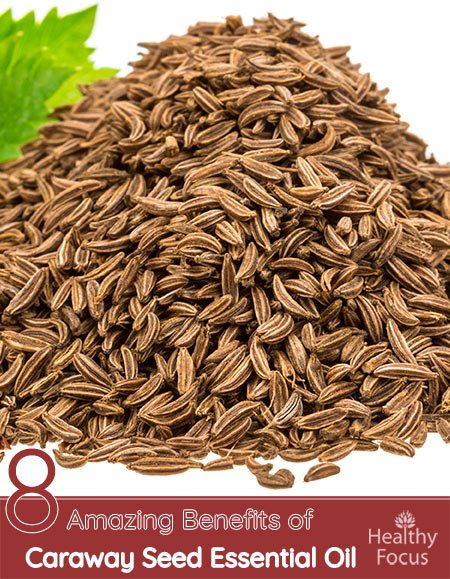 8 Amazing Benefits of Caraway Seed Essential Oil 1 8 Amazing Benefits of Caraway Seed Essential Oil