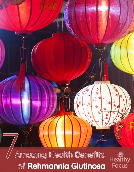 7 Amazing Health Benefits of Rehmannia Glutinosa 1 7 Amazing Health Benefits of Rehmannia Glutinosa