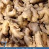 7 Proven Health Benefits of Galangal