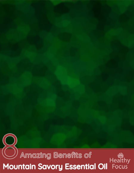 8 Amazing Benefits of Mountain Savory Essential Oil 1 8 Amazing Benefits of Mountain Savory Essential Oil