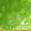 8 Proven Health Benefits of Andrographis