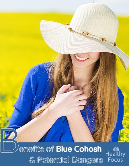 Benefits of Blue Cohosh and Potential Dangers 1 Benefits of Blue Cohosh and Potential Dangers
