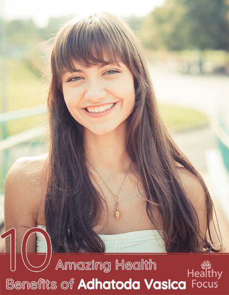 10 Amazing Health Benefits of Adhatoda Vasica 1 10 Amazing Health Benefits of Adhatoda Vasica