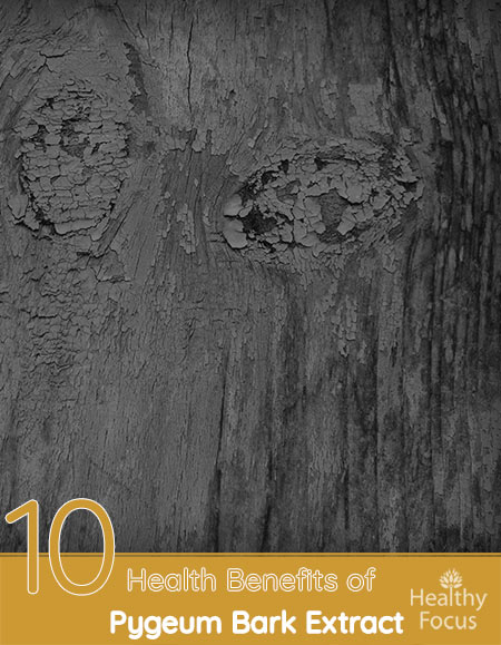 10 Amazing Health Benefits of Pygeum Bark Extract 1 10 Amazing Health Benefits of Pygeum Bark Extract