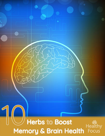 10 Herbs to Boost Memory and Brain Health 1 10 Herbs to Boost Memory and Brain Health