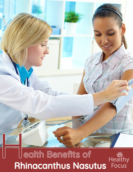 Health Benefits of Rhinacanthus Nasutus : Snake Jasmine 1 Health Benefits of Rhinacanthus Nasutus : Snake Jasmine